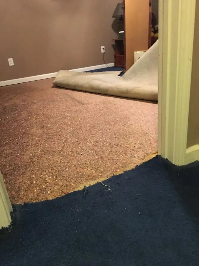 Carpet pad removal revealing water damage during Water Mitigation Services in Alsip