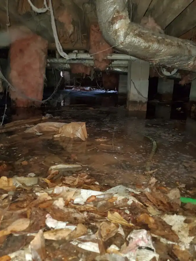 Crawl space flood assessment for Leak Detection & Repair in Alsip